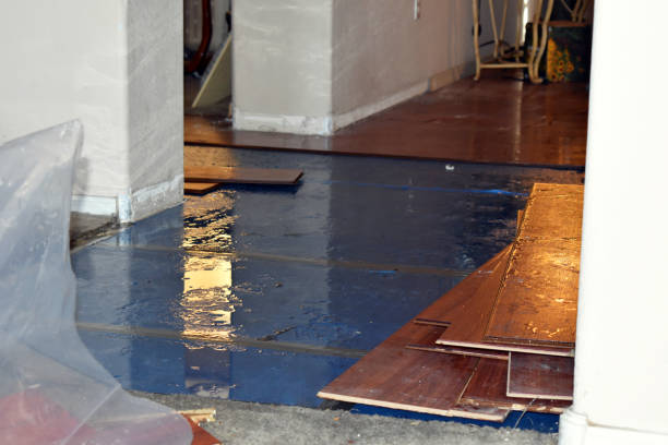 Professional Basement Flood Cleanup technician working in Kiln, MS